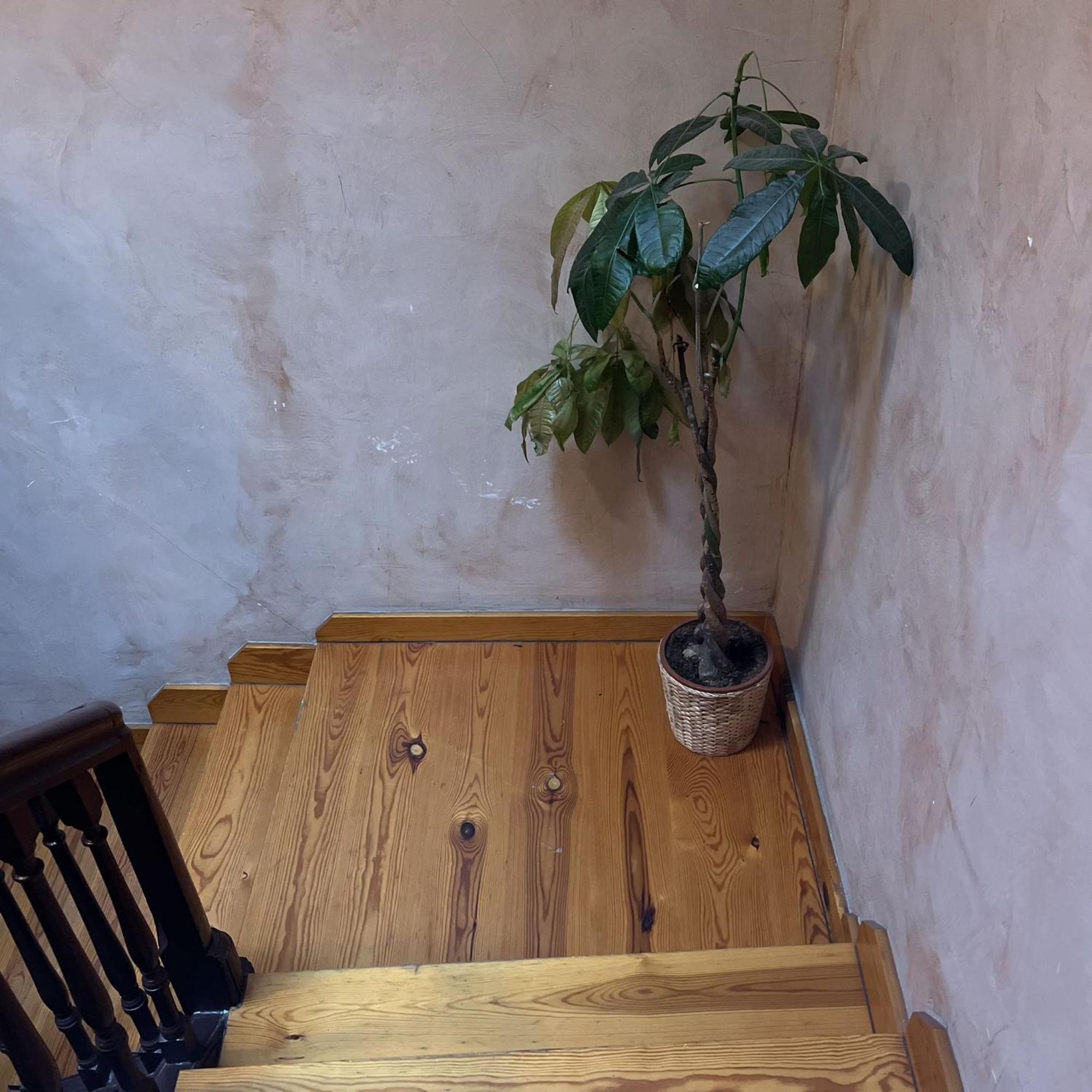 Appartement Calera 2 à Burgo Extérieur photo